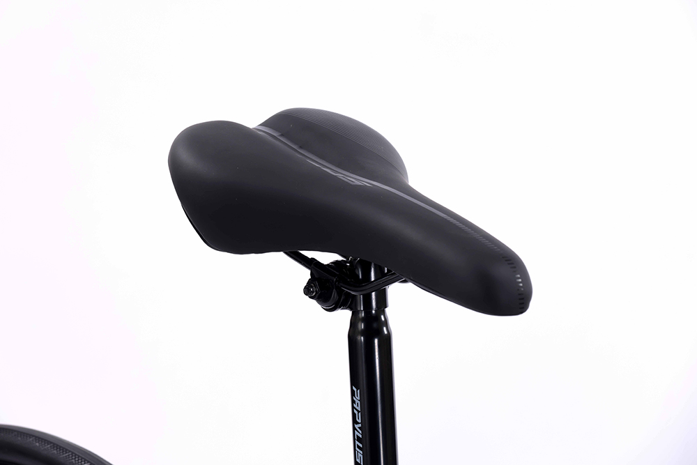 xe đạp đua Papylus PR500 6
