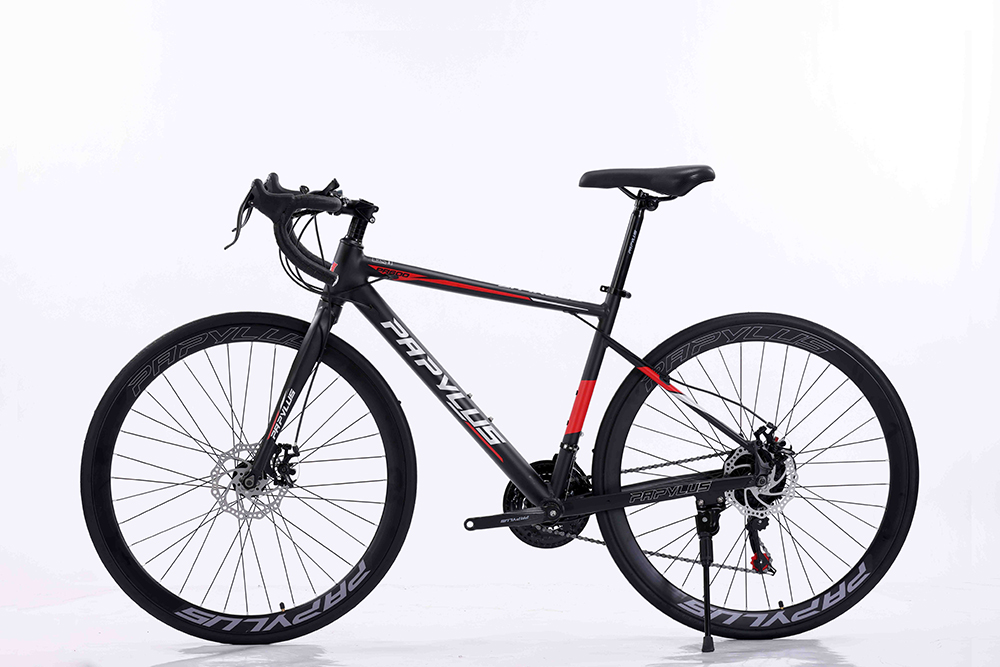 xe đạp đua Papylus PR600 1