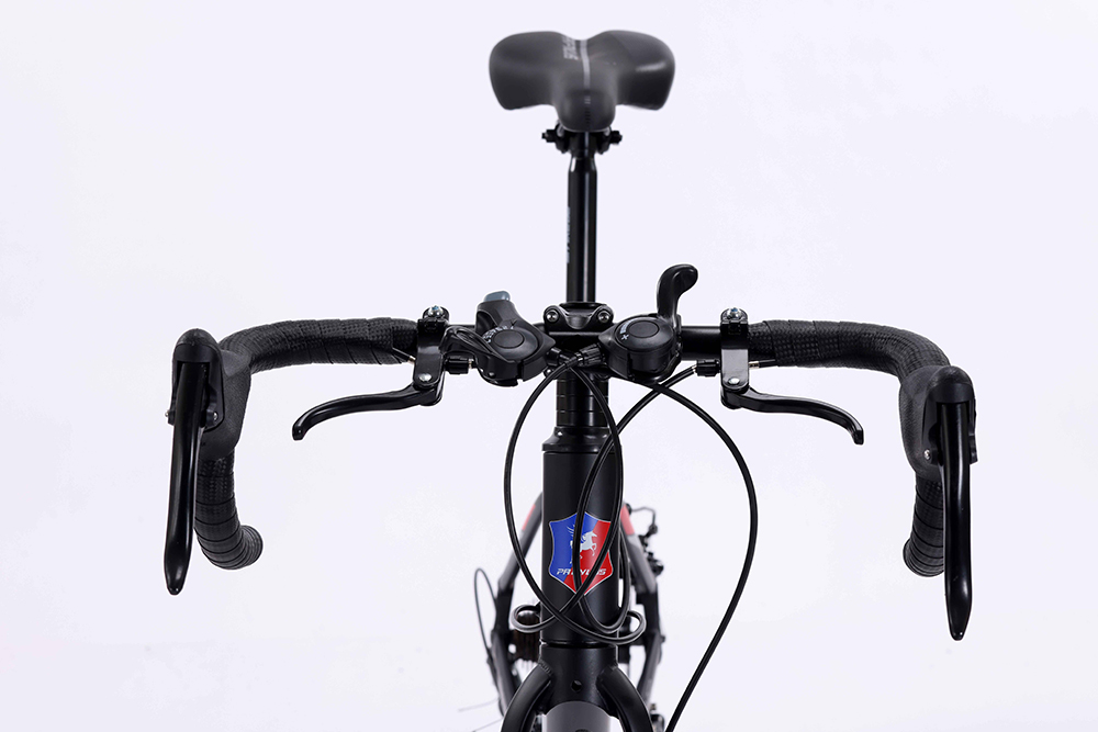 xe đạp đua Papylus PR600 2