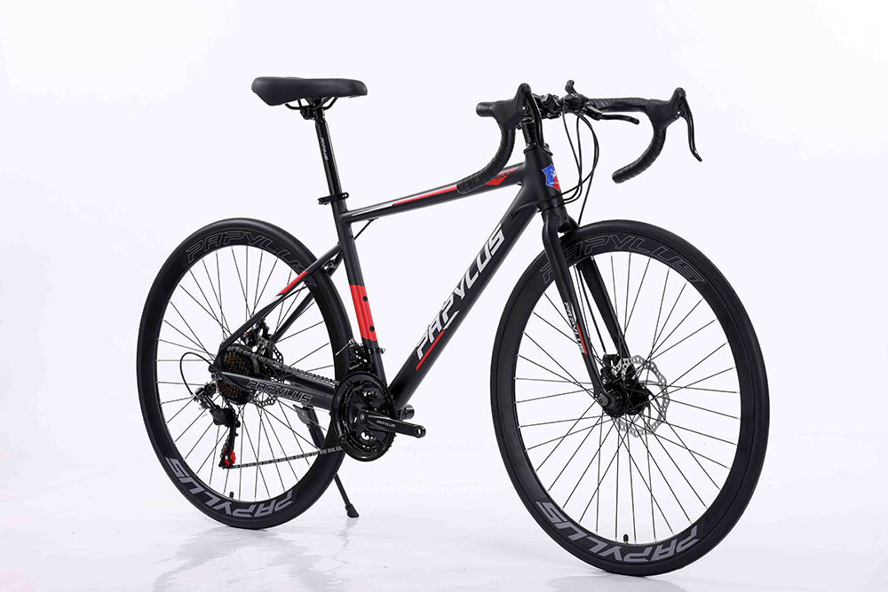 xe đạp đua Papylus PR600 5