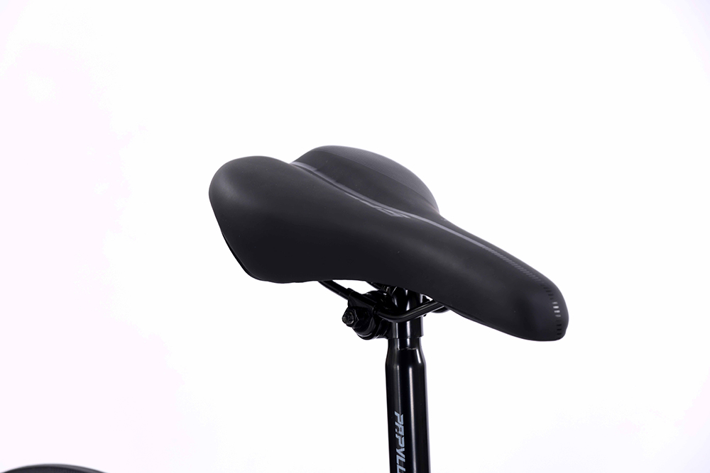 xe đạp đua Papylus PR600 6