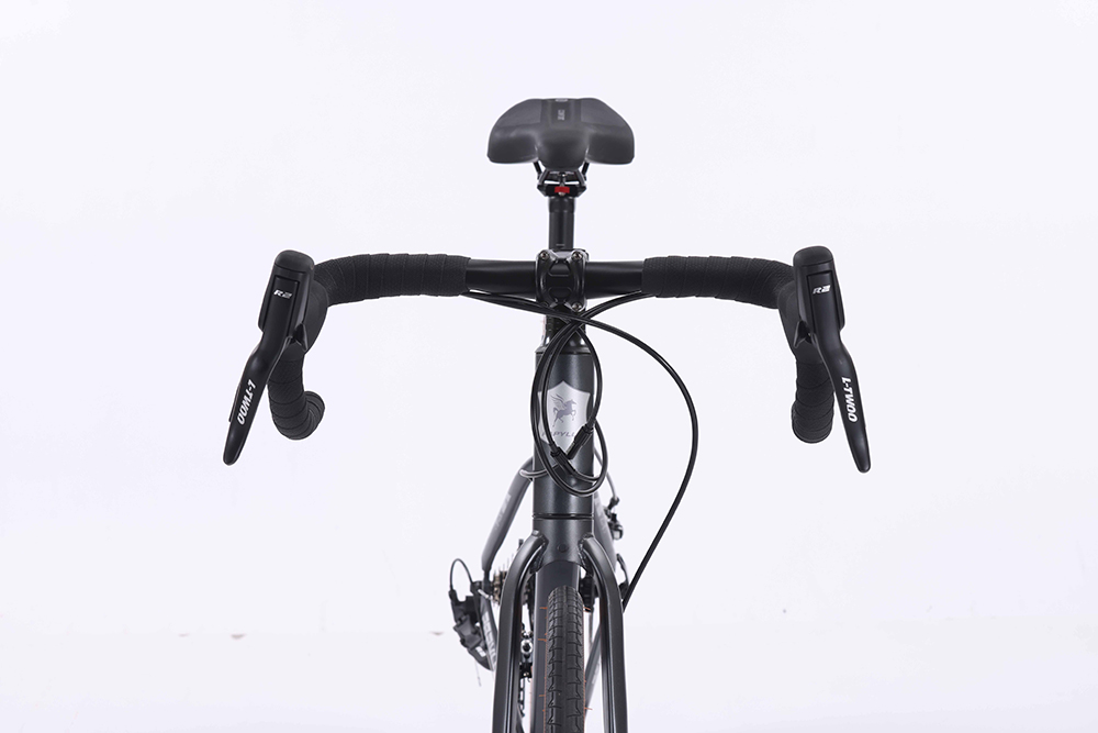 xe đạp đua Papylus PR760 2