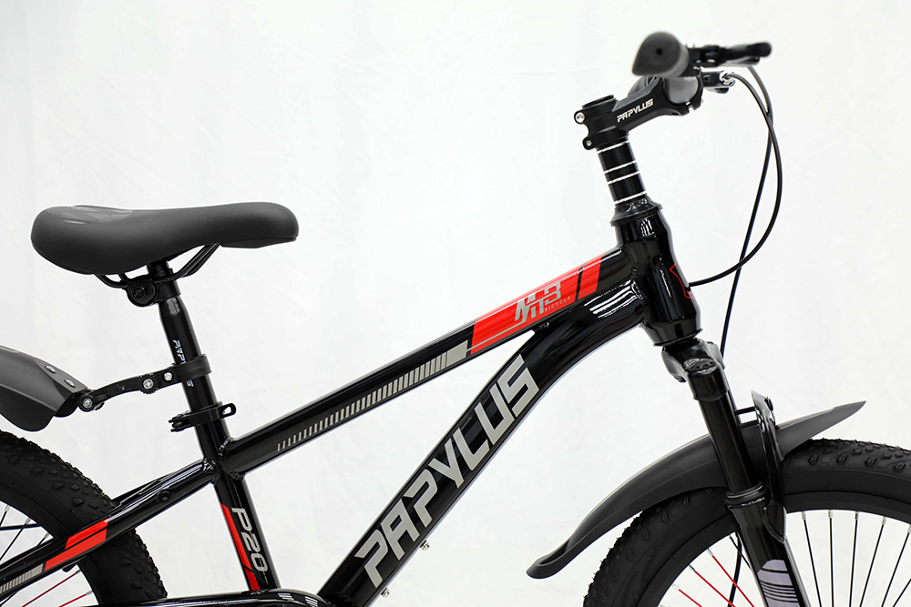 xe đạp trẻ em Papylus P20 2