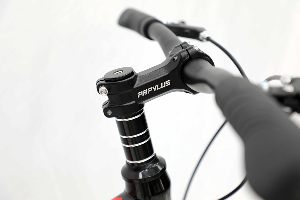 xe đạp trẻ em Papylus P20 4