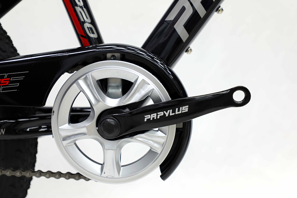 xe đạp trẻ em Papylus P20 5