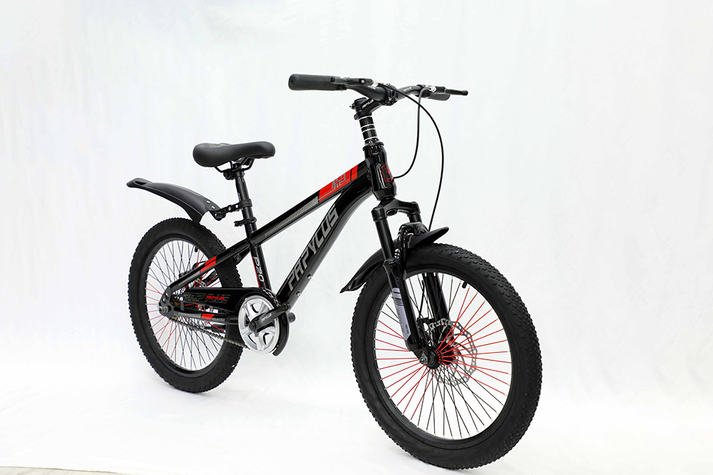 xe đạp trẻ em Papylus P20 7