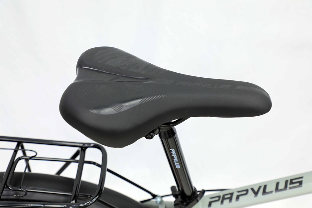 xe đạp địa hình thể thao Papylus PZ3 New 11
