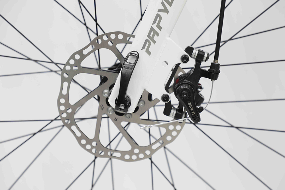 xe đạp đua Papylus PR900 New 10