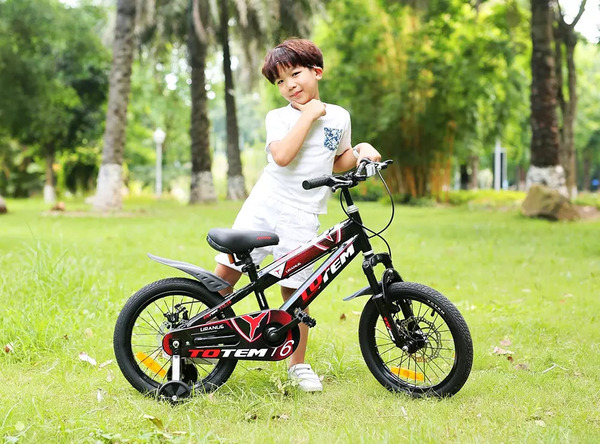 xe đạp trẻ em Totem T711