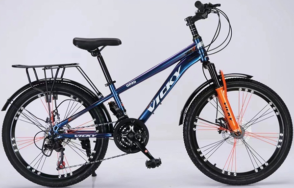 xe đạp trẻ em Vicky Q22D xanh đổi màu
