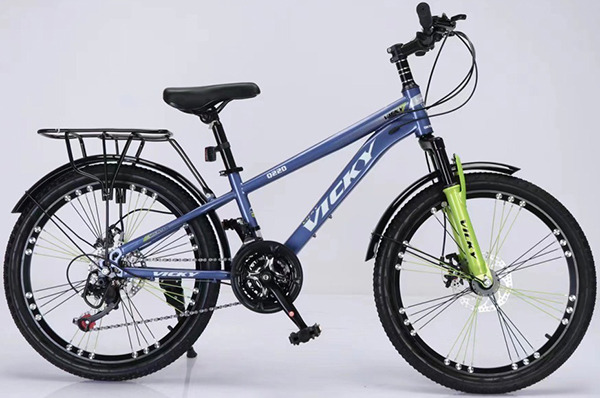 xe đạp trẻ em Vicky Q22D xanh dương 