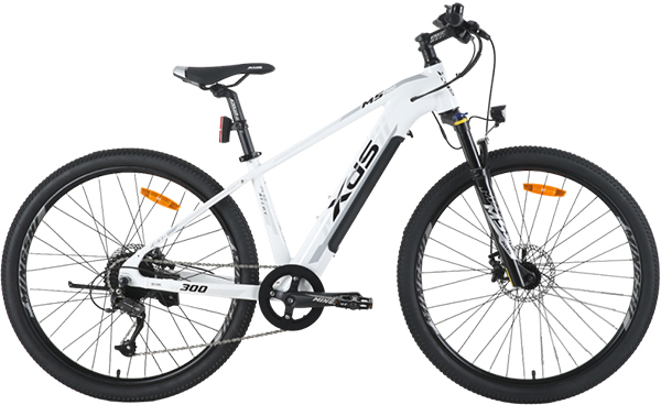 xe đạp điện địa hình XDS MS300