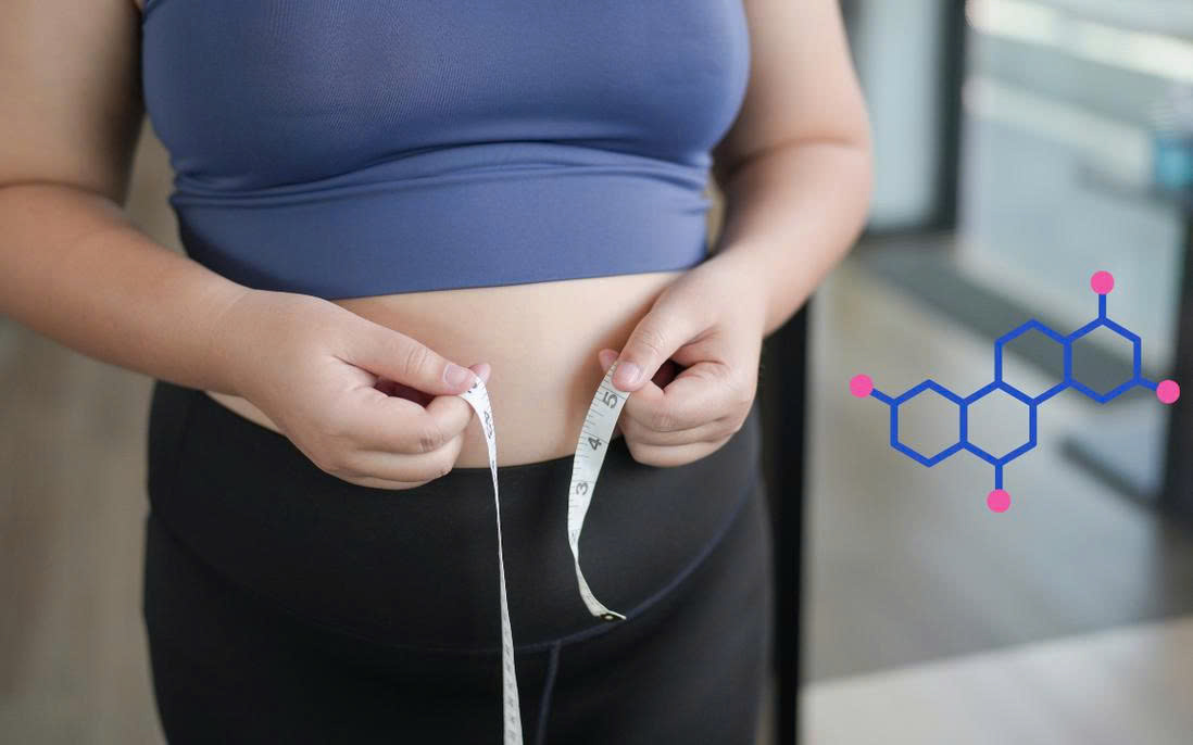 Insulin là hormone quyết định việc tích mỡ hay đốt mỡ