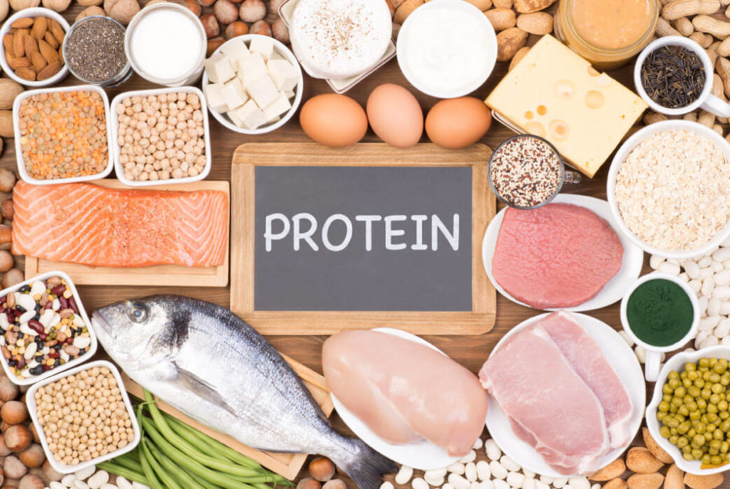 Protein – dưỡng chất thiết yếu của cơ thể