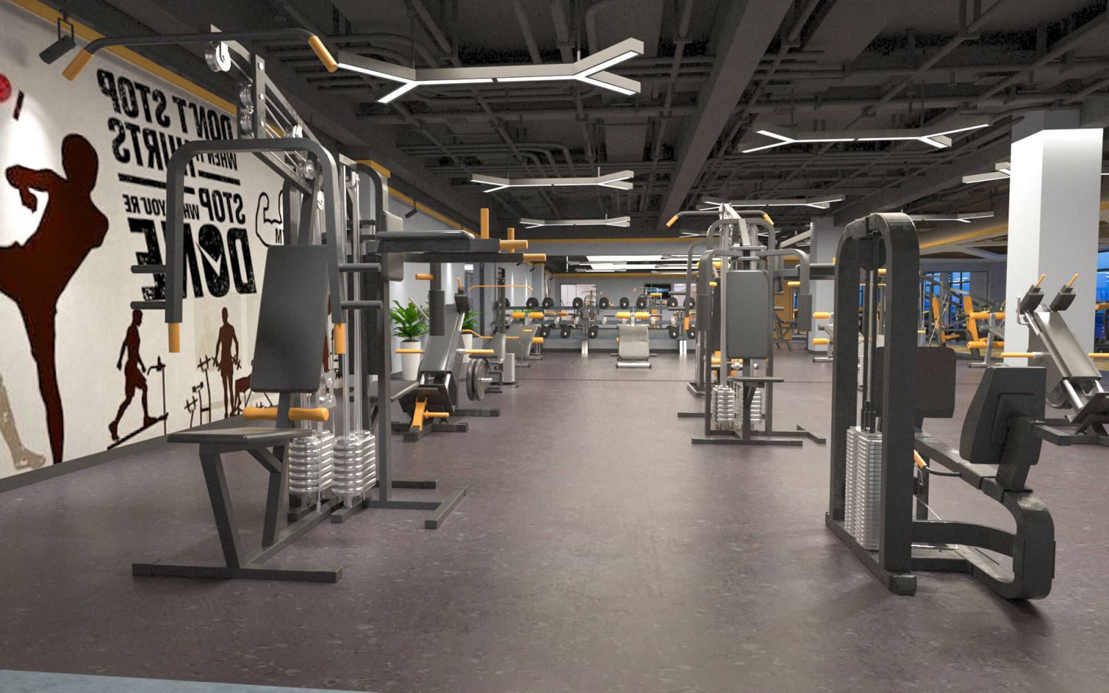 Dự toán chi phí đầu tư phòng Gym kinh doanh