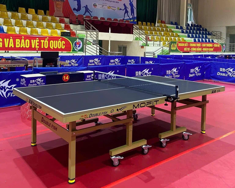 Top 5 bàn bóng bàn Song Ngư Double Fish giá rẻ, chính hãng nên mua