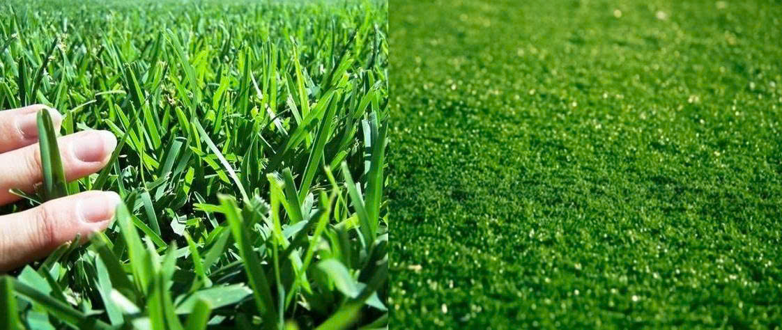 Sân cỏ nhân tạo khác gì sân cỏ thật?