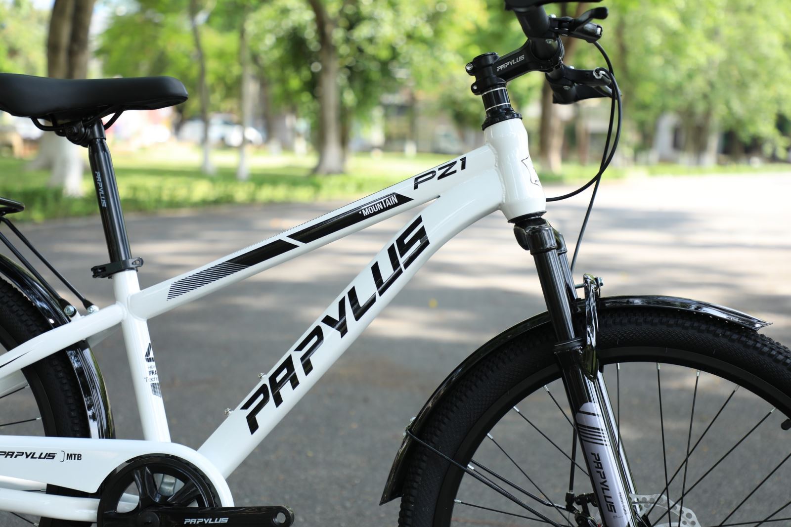 Chất liệu khung & độ bền