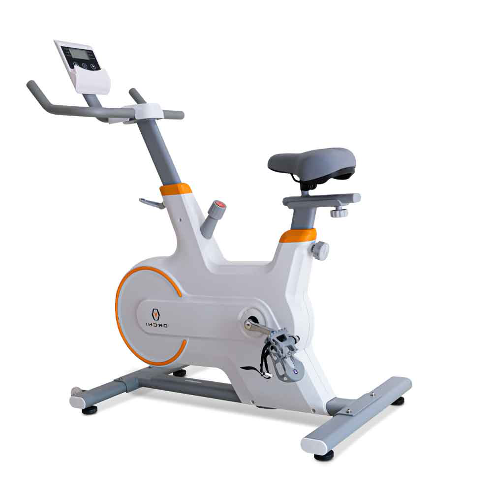 Xe đạp tập thể dục RE 111 - Giá bán tại Thể Thao 365: 6.450.000VNĐ